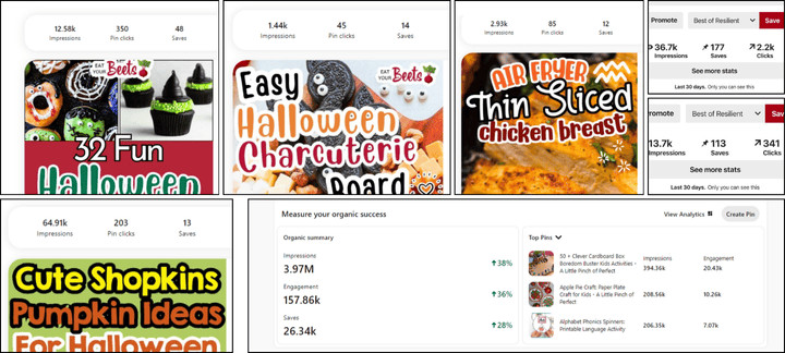 PINTEREST PINS PERFORMANCE - Pinterest pins design services