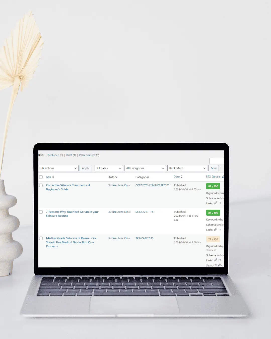Pin Blog Assist - blog management service for skincare product business
